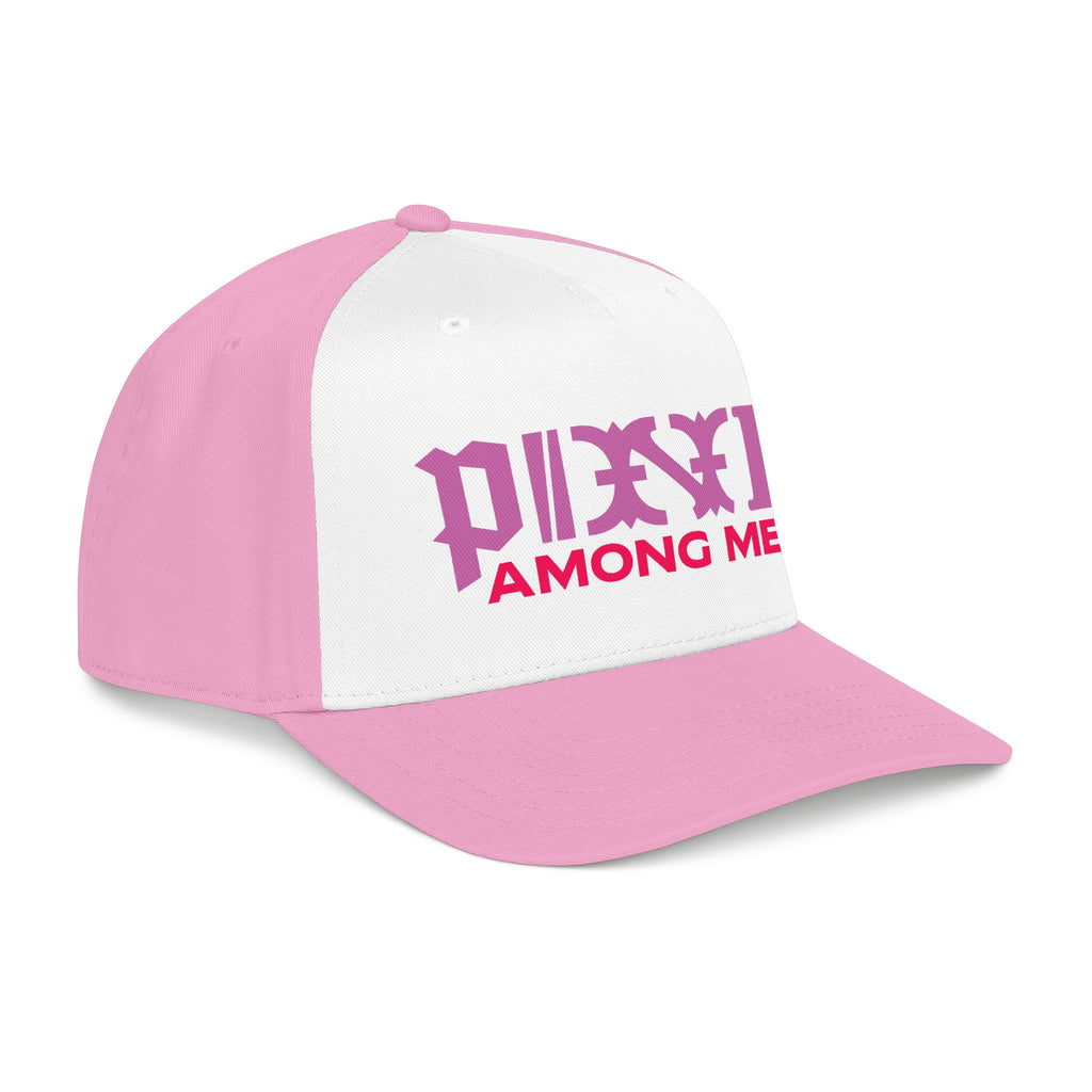 Baseball Cap — “Pink Among Men” Retro Logo Hat